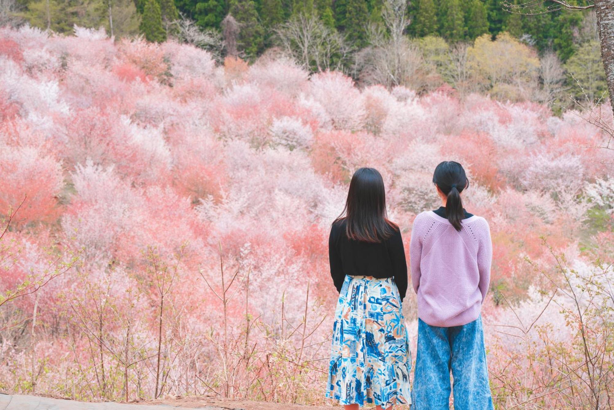 Urabandai Lake Resort Geihinkan Nekoma Rikyu Kitashiobara Luaran gambar