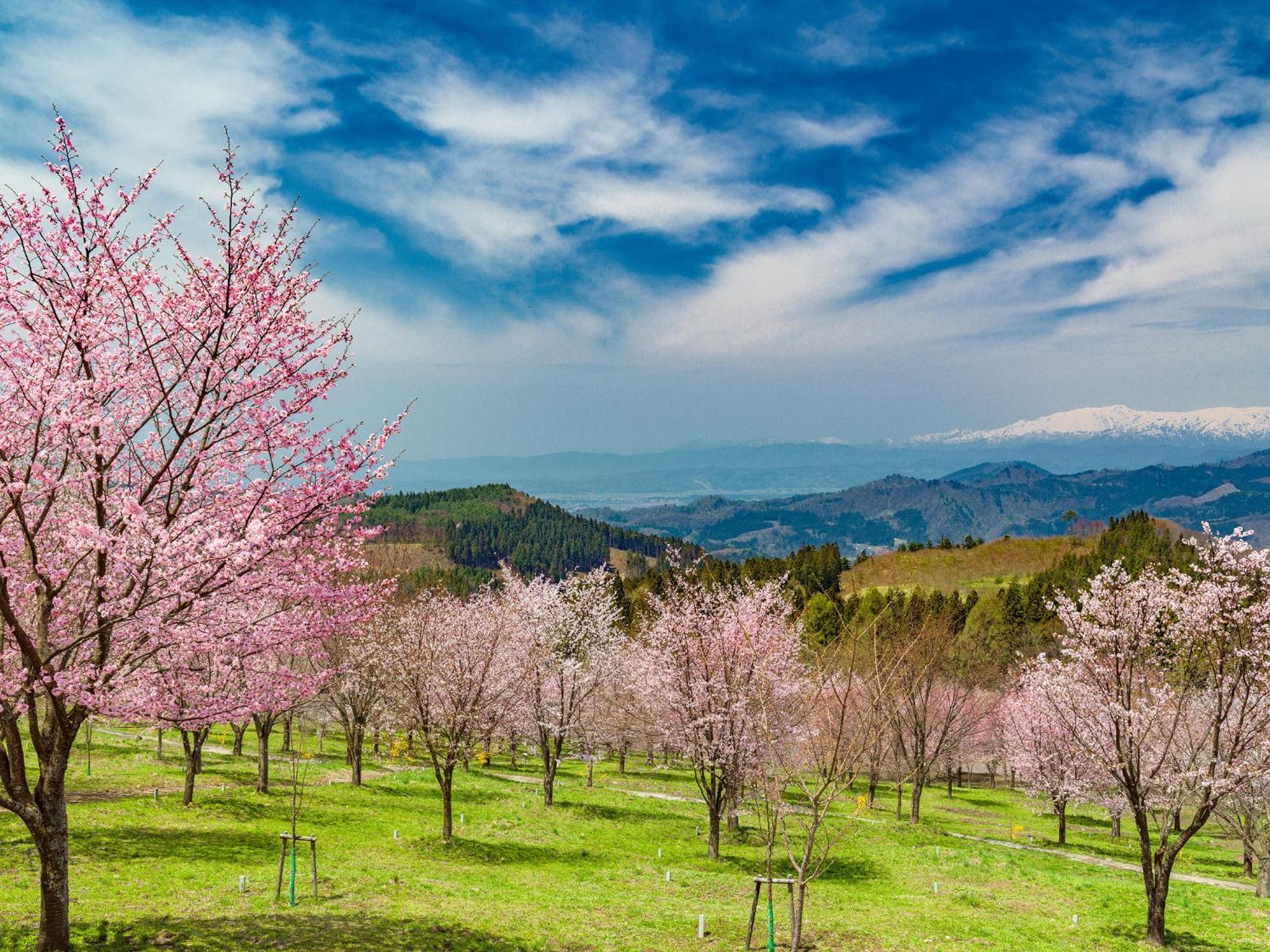 Urabandai Lake Resort Geihinkan Nekoma Rikyu Kitashiobara Luaran gambar