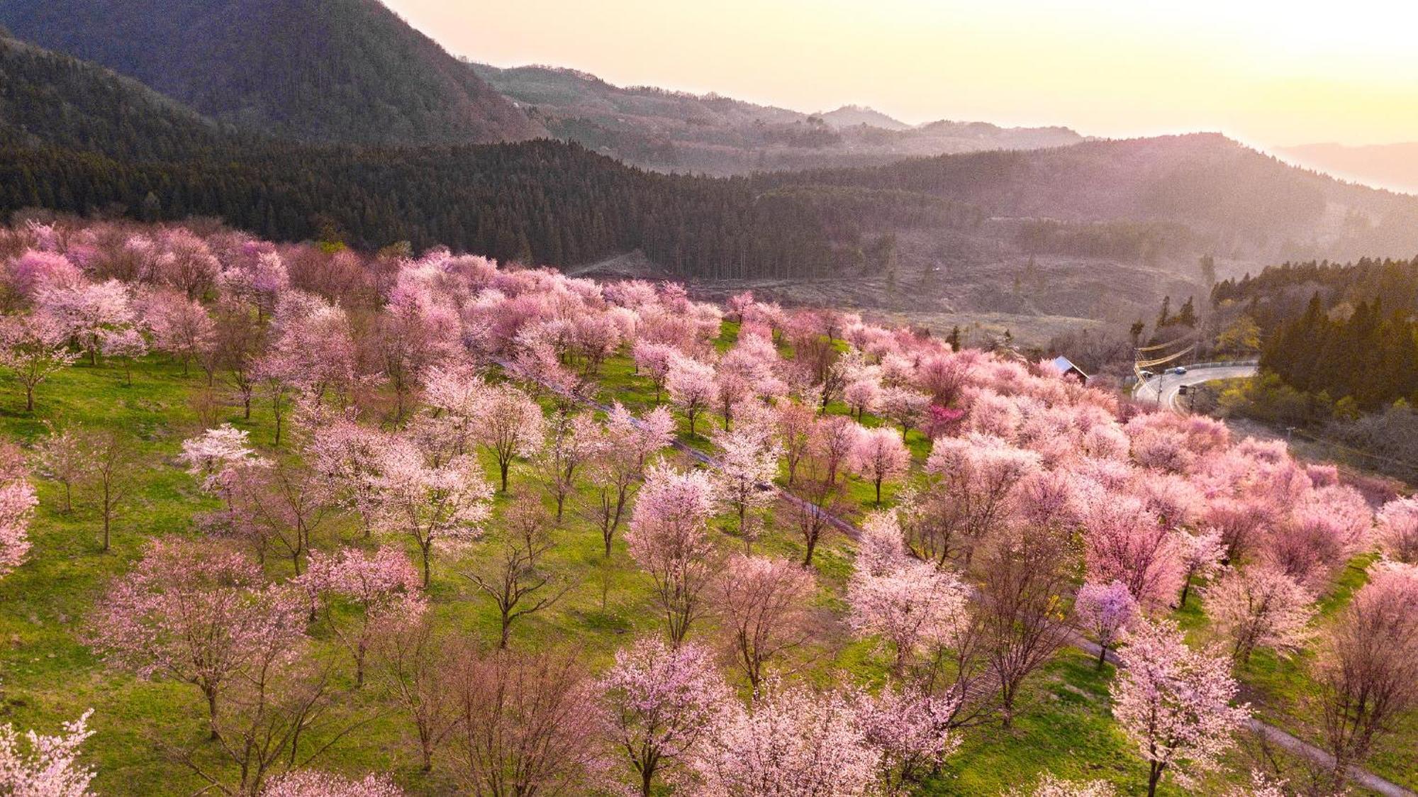 Urabandai Lake Resort Geihinkan Nekoma Rikyu Kitashiobara Luaran gambar